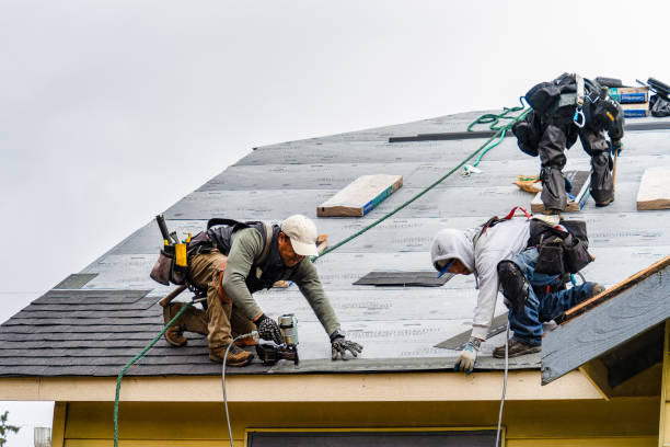Professional Emergency Roof Repair technician working in Lane City, TX